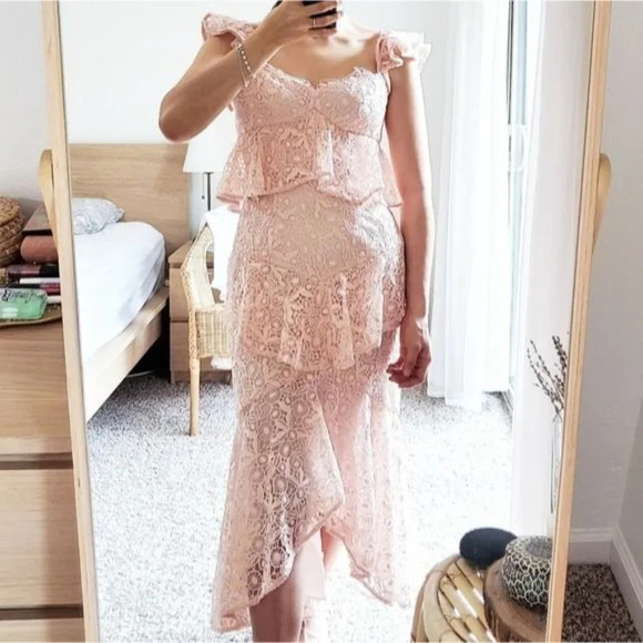 AMUR Pink Lace Hayden Midi Formal Dress $695 - Picture 2 of 15